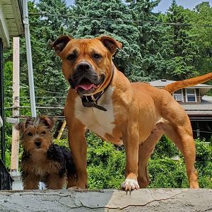 Meet your Posher, Tyg